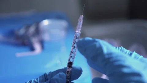 Doctors prepare syringes for vaccination Stock Footage 197099853