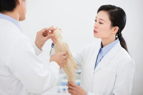 Doctors studying anatomical model Stock Photos