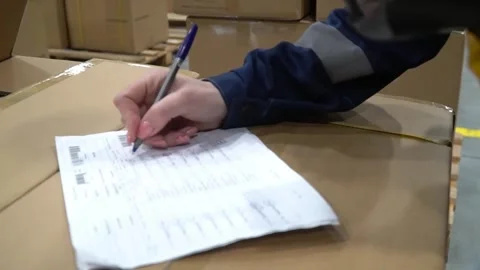 Document Clerk Conducting Inventory Check with Pen in Hand Stock-Footage 242700720