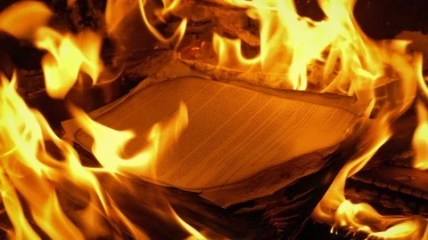 Document Papers Burn In Fire - Generic Content Vídeo Stock 100637398
