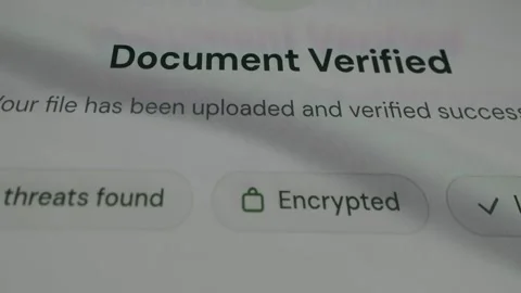 Document Verified status, file has been uploaded and verified successfully Stock Footage 333833985