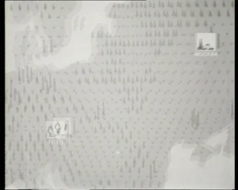 Documentary about blood transfusion, Soviet methods of obtaining blood, UK 1941 Stock Footage 142218143