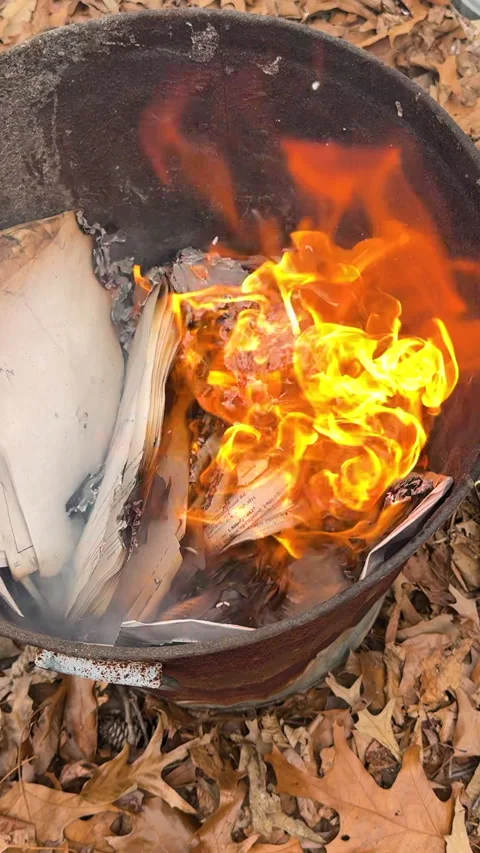 Documents burn and flame up inside metal trash can Vídeo Stock 271009237
