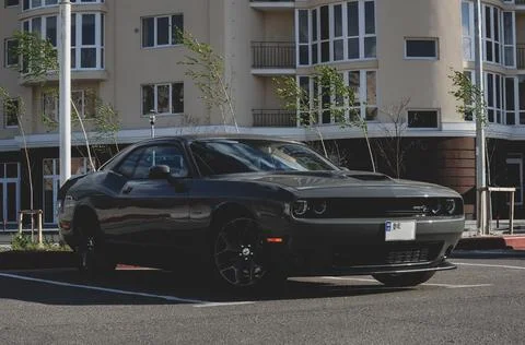 Dodge Challenger Stock Photos