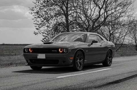 Dodge Challenger Stock Photos