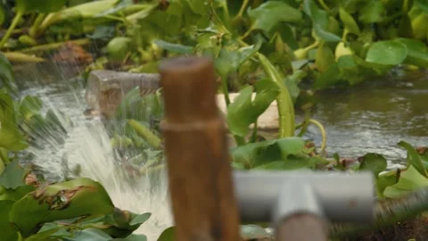 Dodging Plastic Waste While Navigating the Mekong, Vietnam Stock Footage 284769835