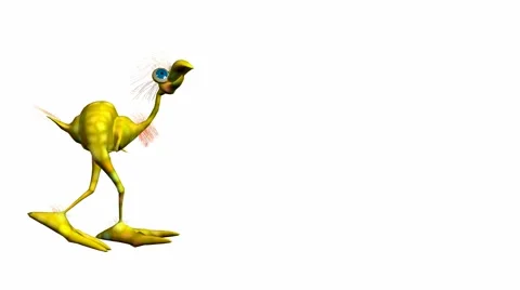 Dodo bird Stock Footage 973635