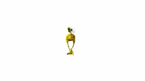 Dodo bird Stock Footage 973639
