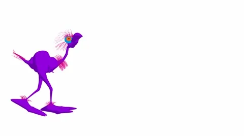 Dodo bird Stock Footage 973643