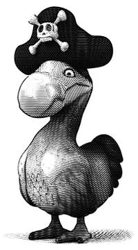 Dodo Free Stock Illustration