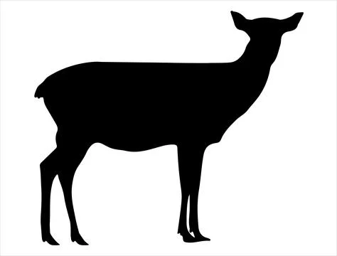 Doe silhouette vector art Stock Illustration