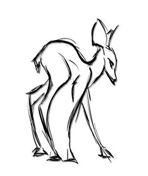 Doe standing. Sketch Vector illustration. Stock Illustration