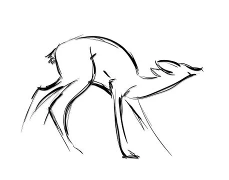 Doe standing. Sketch Vector illustration. Stock Illustration
