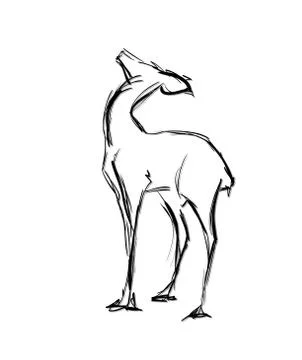 Doe standing. Sketch Vector illustration. Stock Illustration