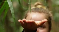 Dof Smiling Girl Touching Fern Koru Plant Stock Footage