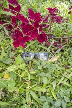 Doff blue square eyeglass frames on the grass. square eyeglass frame in the p Stock Photos