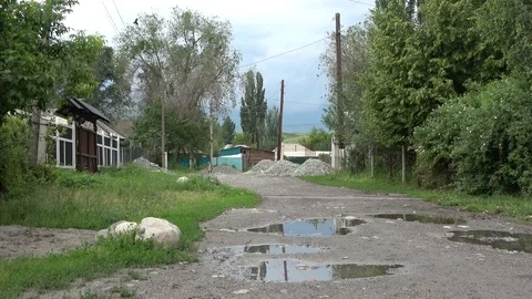 Dog 2 Video stock 110750512