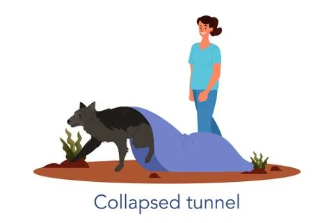 Dog agility collapsed tunnel. Training exercise for pet. Woman training Ilustración de archivo
