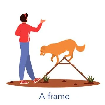 Dog agility a-frame. Training exercise for pet. Man training his pet Ilustración de archivo