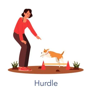 Dog agility hurdle. Training exercise for pet. Man training his pet dog. Ilustración de archivo