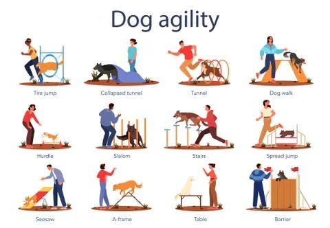 Dog agility set. Training exercise for pet. Woman and man training Ilustración de archivo