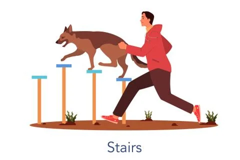 Dog agility stairs. Training exercise for pet. Man training his pet dog. Ilustración de archivo