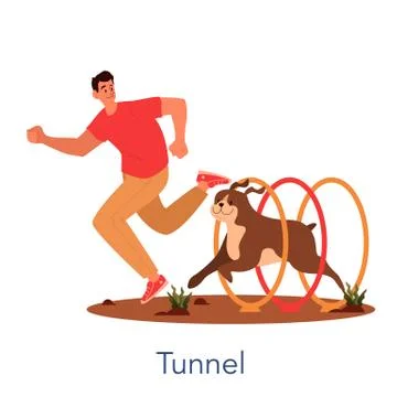 Dog agility tunel. Training exercise for pet. Man training his pet dog. Ilustración de archivo
