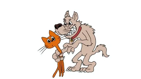 Dog and cat  Stock Footage 198156611