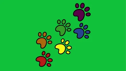 Dog and cat paw pattern animation on green screen background Stock Footage 293955775