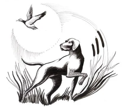Dog and duck Stock-Illustration