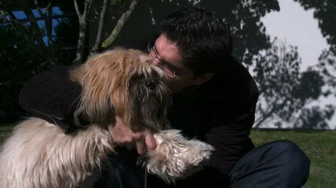 Dog and his master Video stock 540697