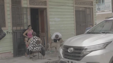 A dog and a man by the side of the road in Panama Stock-Footage 343744065