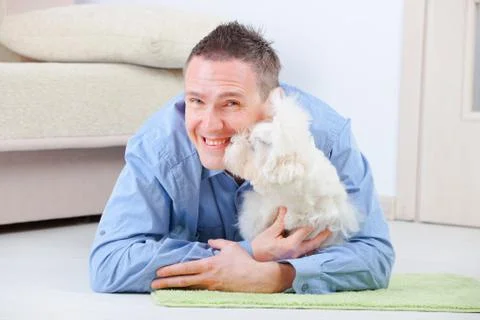 Dog and owner Stock Photos