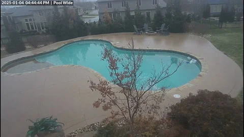 Dog and Owner Slip on Patch of Poolside Ice, Lee's Summit, Missouri, USA - 05 Ja Vídeos de archivo 297014778