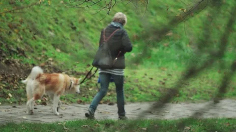 Dog and owner by a stream in a path, Szentendre, Hungary Stock Footage 166222232