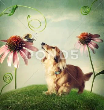 Dog and snail in friendship in fantasy landscape Stock Illustration