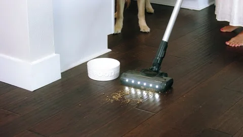 Dog and vacuum cleaner Stock Footage 224368230