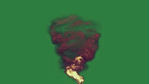 Dog Animated With Fire Isolated Green Screen Stock Video Stock-Footage 338013137