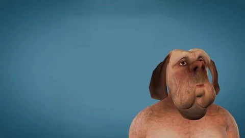 DOG ANIMATION Stock Footage 84005267