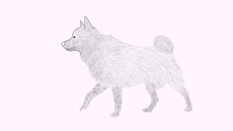 Dog animation Stock Footage 167122032