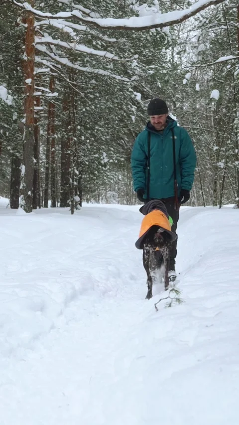 Dog Approaching Owner in Snowy Forest 스톡 동영상 320803607