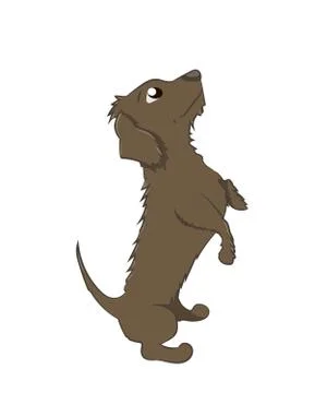 Dog asking for food, vector Illustrazione stock