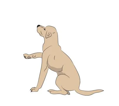 Dog asking for food, vector Illustrazione stock