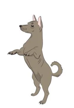 Dog asking for food, vector Stock Illustration
