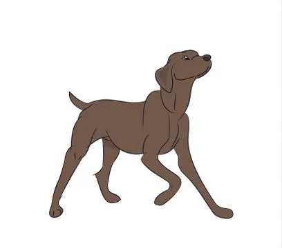 Dog asking for food, vector Stock Illustration