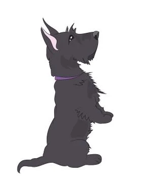 Dog asking for food, vector Stock Illustration