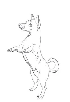 Dog asking, lines, vector Illustrazione stock