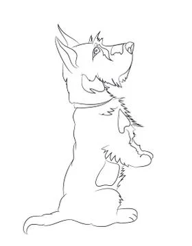 Dog asking, lines, vector Stock Illustration