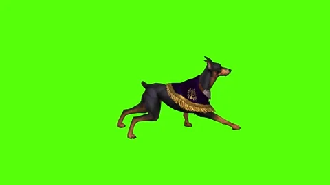 Dog Attack Green Screen Animation 4K Rendering Stock Footage 295558100