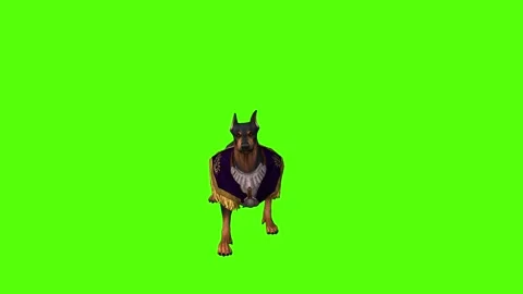 Dog Attack Green Screen Animation 4K Rendering Stock Footage 295558135